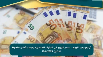تراجع جديد اليوم.. سعر اليورو في البنوك المصرية يهبط بشكل ملحوظ الاثنين 18/8/2025